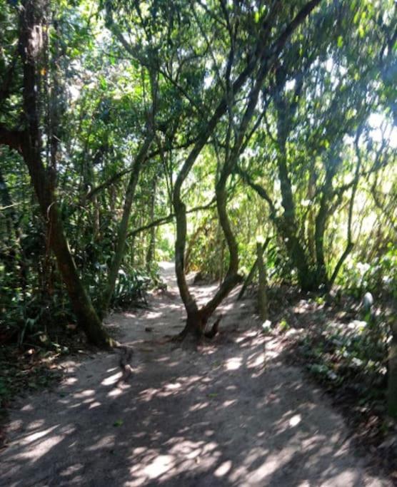 Casa Amarela Prumirim Ubatuba Buitenkant foto