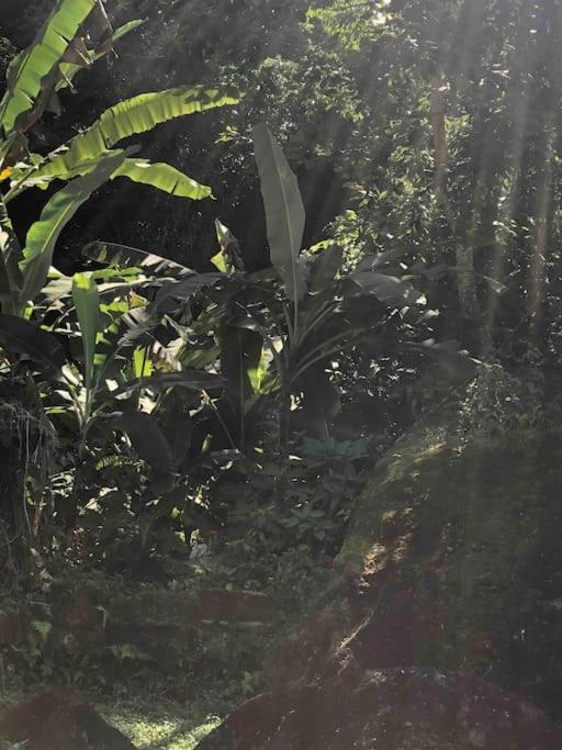 Casa Amarela Prumirim Ubatuba Buitenkant foto